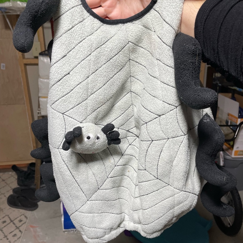 2T spider costume
